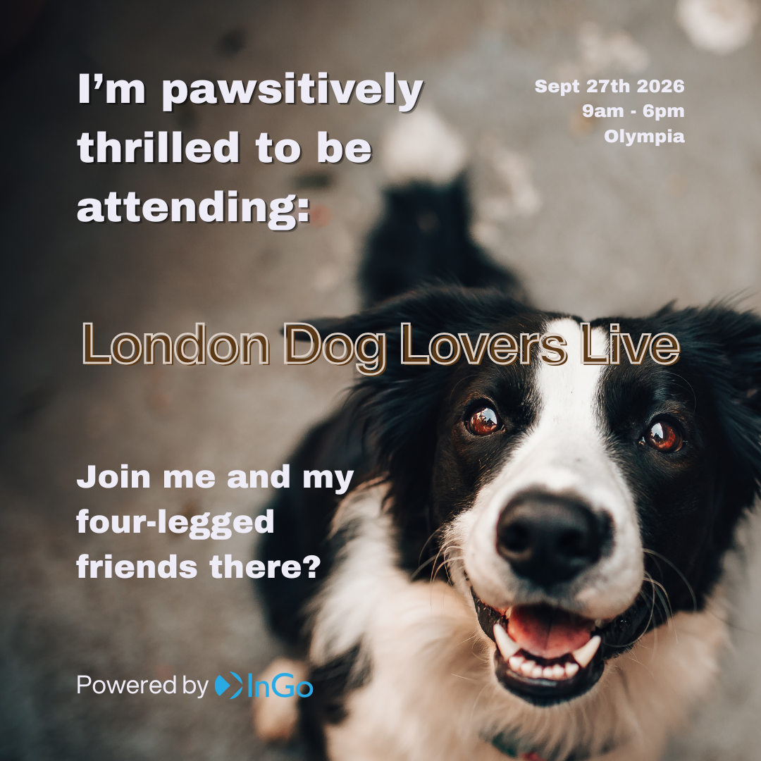 InGo - Instagram Share